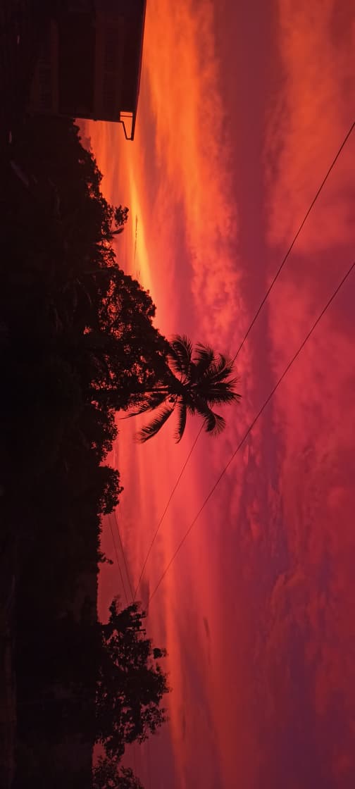 Golden sunset